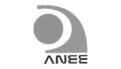 Anee Recovery