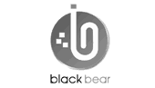 Black Bear B6 Master Recovery