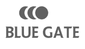 Blue Gate Sapphire BG7i Recovery