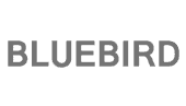 Bluebird EF501 Recovery
