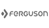 Ferguson Regent TV8 Recovery