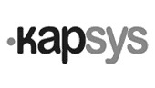 Kapsys SmartVision Recovery