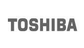 Toshiba TT301 Shared Board 24″ Recovery