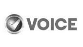 Voice Xtreme V25 Recovery