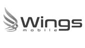 Wings Mobile W6 Recovery