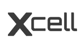 Xcell View Recovery